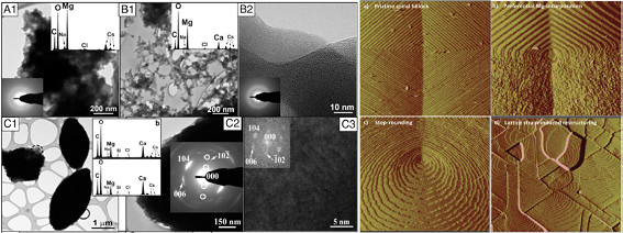Deciphering the biomineralization of high-Mg carbonate